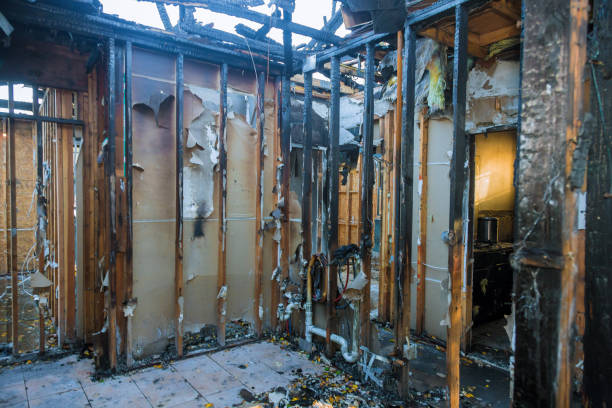Professional Emergency Fire Cleanup technician working in Fish Hawk, FL